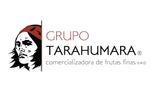 Logo de Grupo Tarahumara, aliado del Banco de Alimentos de Ciudad Juárez